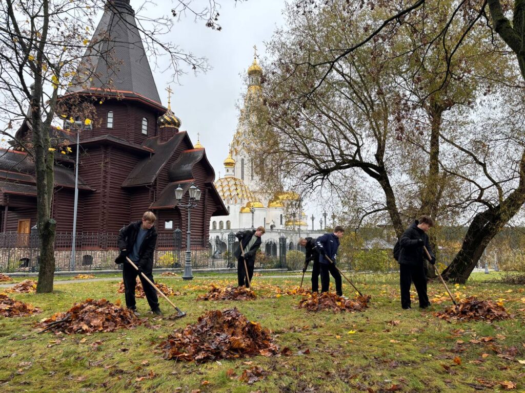 5199655690107483816 (1)