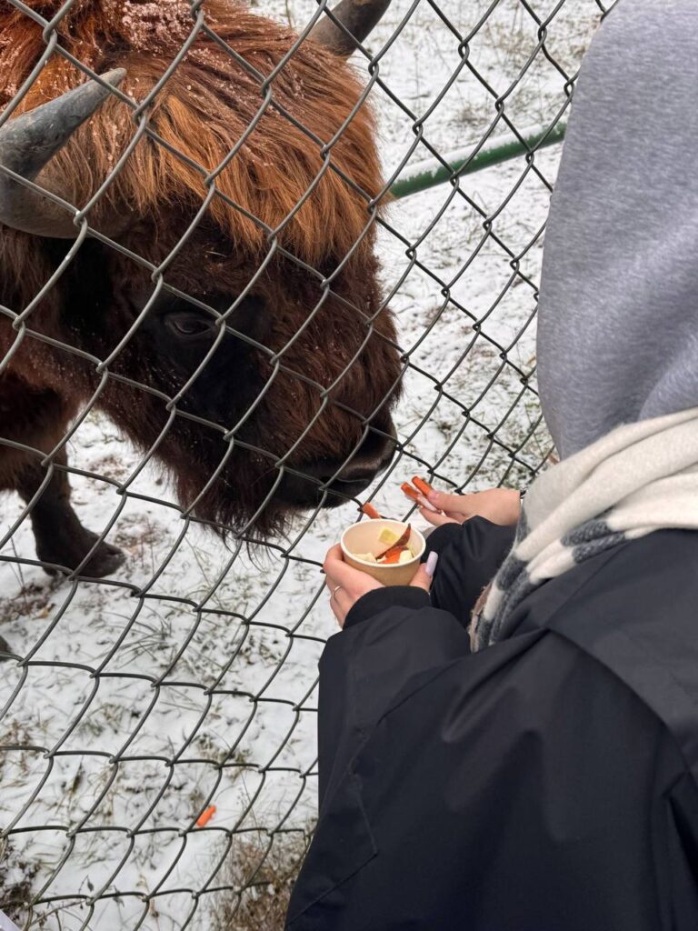 photo_2025-12-14_14-39-47