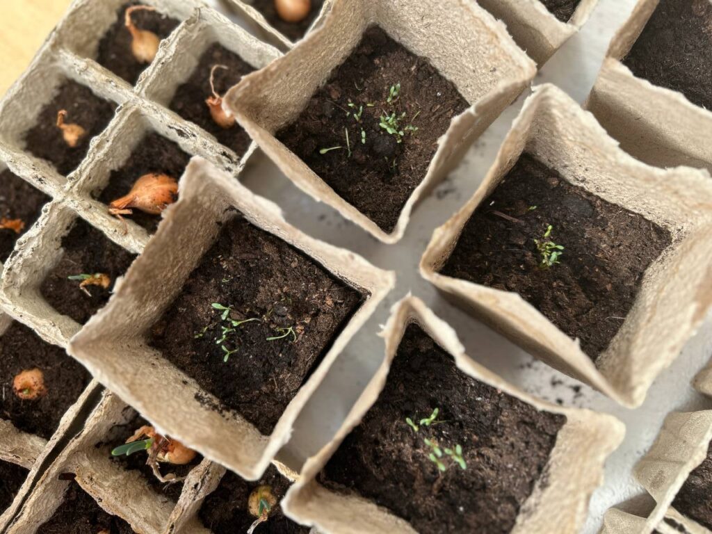 photo_2026-04-03_18-07-58