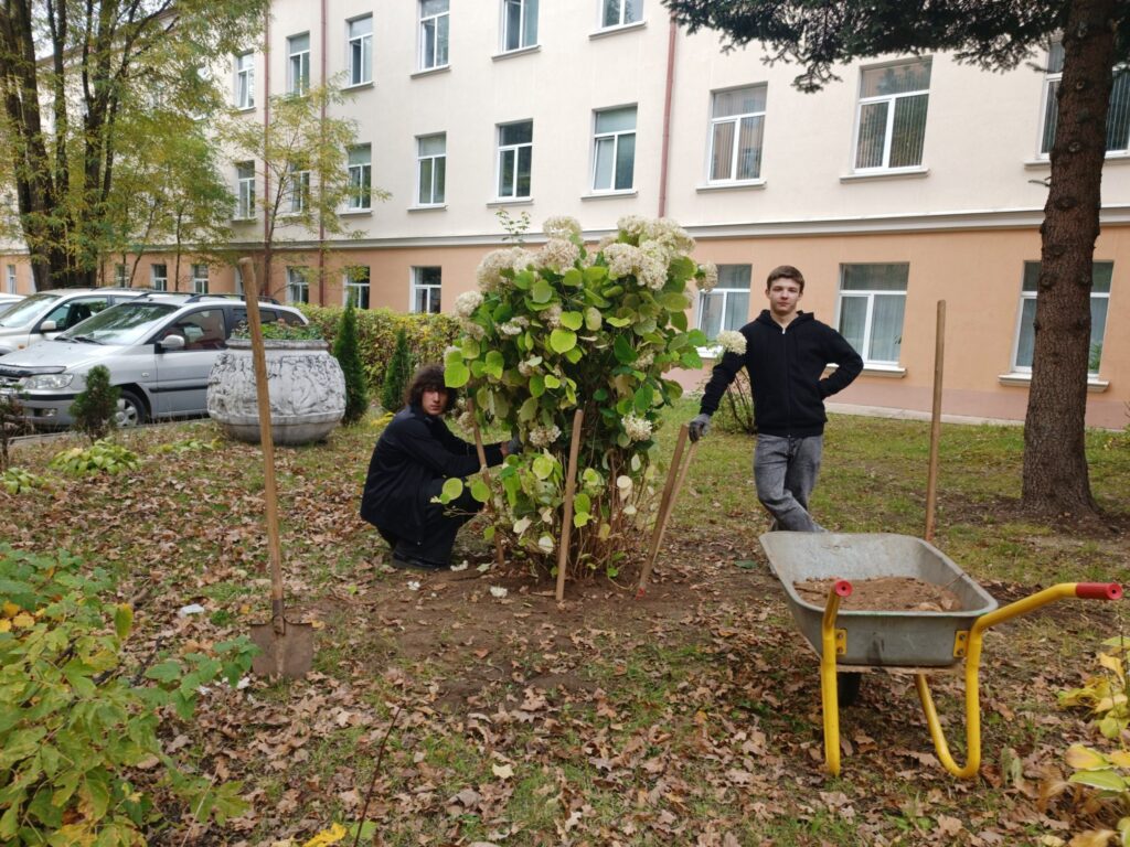 главная